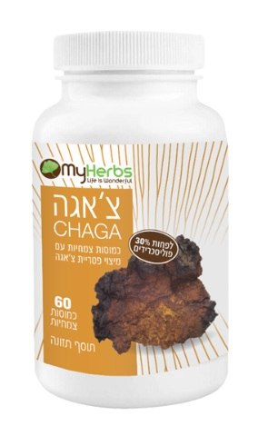 צ'אגה | CHAGA | MY HERBS