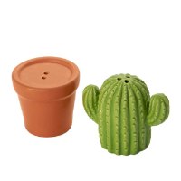 מלח פלפל עציץ קקטוס Cactus - מארז לא מושלם