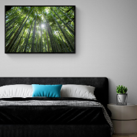 "יער הבמבוקים" הדפס תצלום טבע של עצי במבוק מזווית כלפי השמש מודפס על בד קנבס מתוח ומוכן לתליה