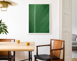 תמונת קנבס קלוזאפ של ענף דקל ירוק "Green All Over" |בודדת או לשילוב בקיר גלריה | תמונות לבית ולמשרד