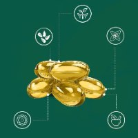 תוסף תזונה OIL OF OREGANO טבליות ג'ל להרזיה, ריפוי מערכת העיכול והגוף ושיפור איכות החיים