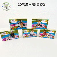 בלוק עץ