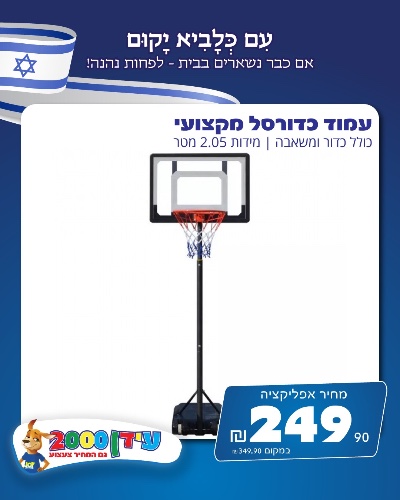 עמוד כדורסל מקצועי