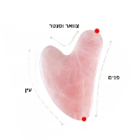 אבן גואשה לפנים