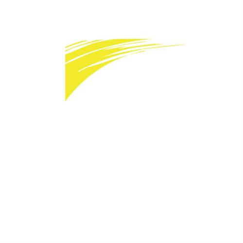 שפורפרת צבע אקריל צהוב לימון אקזוטיק 75 מ"ל 11028