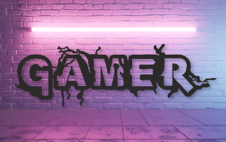 GAMER