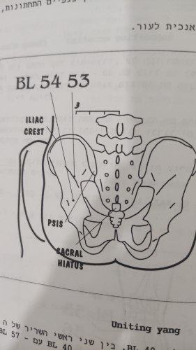 Bl54
