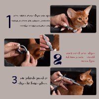 קולר נגד פרעושים וקרציות- PetSafe
