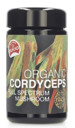 פטריית קורדיספס אורגנית | Organic Cordyceps Mushroom | טולסי Tulsi