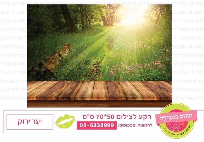 רקע צילום יער ירוק