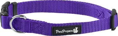 קולר לכלב מידה גדולה S בייסיק  PetsProject