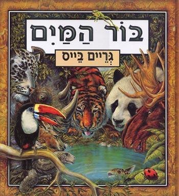 בור המים/גריים בייס