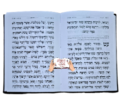 תהילים כיס דמוי עור (5 צבעים)