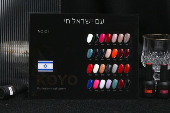 מזוודה 30 יחידות של קויו 10 מ"ל | KOYO | מארז 01