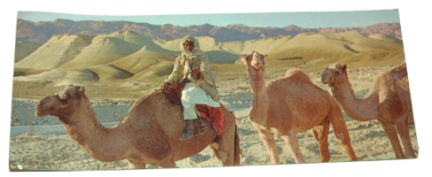 3 גלויות נוף, נגב, הדרך לים המלח, וינטאג', ישראל שנות ה- 60, ישראנוף