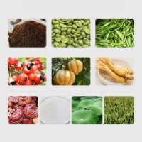 קפה ירוק המסייע בהרזיה - greencoffee
