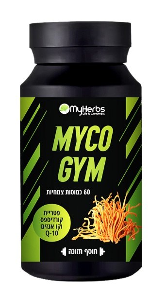 MYCO GYM – מיקו ג'ים
