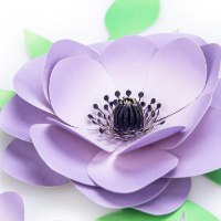 קישוט פרחי נייר ליצירה עצמית  Paper Art – כלניות