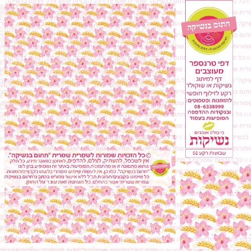 שבועות רקע 02- דף טרנספר