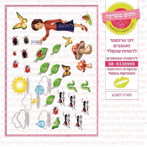 מורה לטבע