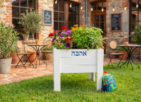 האדנית המרובעת