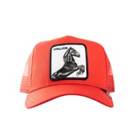 Goorin Bros stallion red כובע מצחיה גורין סוס סטליון אדום