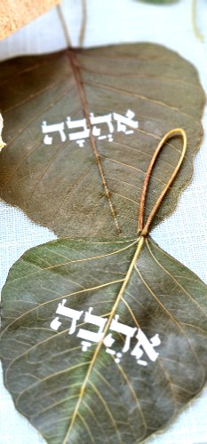 עלים עם מסרים מהרוח