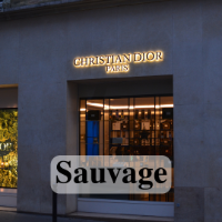 שמן למפיץ ריח בהשראת בושם Sauvage Dior