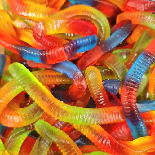 תולעי גומי 🐛