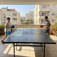 שולחן פינג פונג ירוק 201A לשימוש בפנים הבית 274X152.5X76 סמ מבית דרבי DERBY