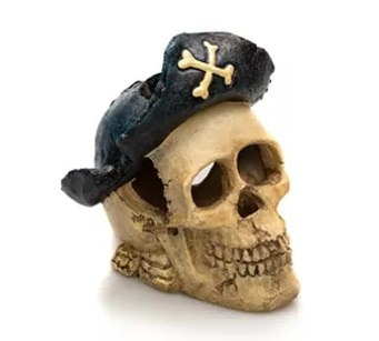 גולגולת פיראט כובע כחול עם עצמות