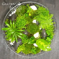 עוגת צמחים