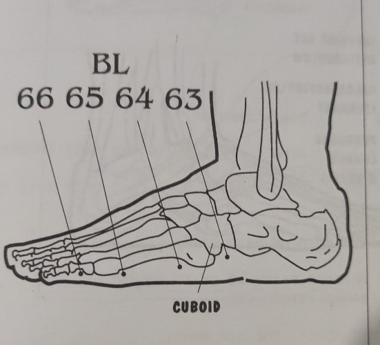 BL63