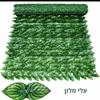 גדר עלי מלון - גדר עלים דקורטיבית במגוון דגמים