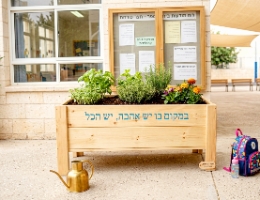אדנית ג'מבו גדולה