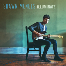 SHAWN MEDNES / ILLUMINATE