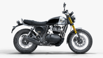 BEAR 650