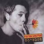 שלמה ארצי / אהבתיהם