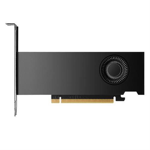 NVIDIA RTX 2000 Ada 16GB GDDR6 Graphic Card
