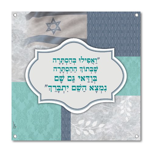 תמונה לסוכה- אפילו בהסתרה