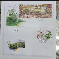 אוסף 11 מעטפות יום ראשון