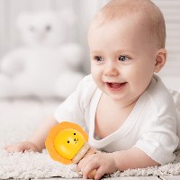 רטטוי אריה – רעשן מעץ, נשכן, ובובת אצבע
