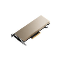 מאיץ בינה מלאכותית (AI) - NVIDIA A2 Tensor Core GPU PNY