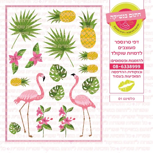 פלמינגו 01