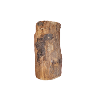עץ לבונה ממשפחת השקד למעשנה / טאבון - שק של 7-10 ק"ג