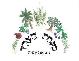 שעועית אזוקי אורגנית - 1 ק״ג