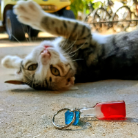 מחזיק מפתחות שקוף בצורת בקבוק עם יין אדום