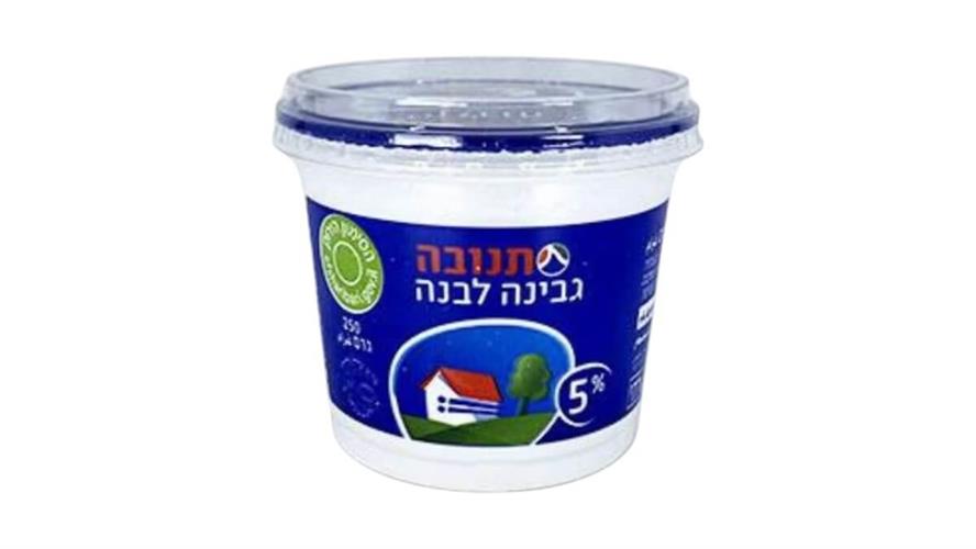גבינה לבנה 5%