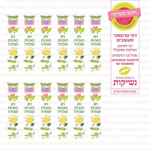סוכות מקלות מרנג- דף טרנספר