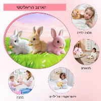 פאפי הארנב - החבר הפרוותי החדש שלך